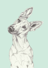 Load image into Gallery viewer, Shepherd