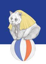 Load image into Gallery viewer, super panda