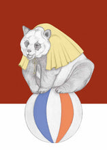 Load image into Gallery viewer, super panda