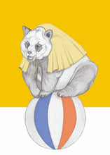 Load image into Gallery viewer, super panda