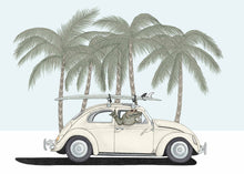 Load image into Gallery viewer, surfer crocodile