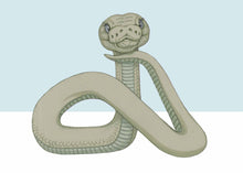 Load image into Gallery viewer, snake