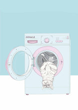 Load image into Gallery viewer, cat in washing mashine