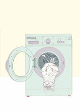 Load image into Gallery viewer, cat in washing mashine
