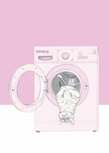 Load image into Gallery viewer, cat in washing mashine