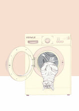 Load image into Gallery viewer, cat in washing mashine