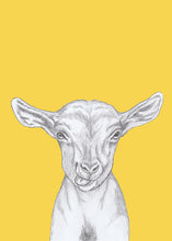 Load image into Gallery viewer, kid goat