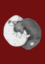 Load image into Gallery viewer, Yin Yang