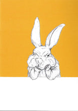 Load image into Gallery viewer, grumpy bunny