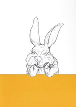 Load image into Gallery viewer, grumpy bunny