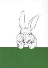 Load image into Gallery viewer, grumpy bunny
