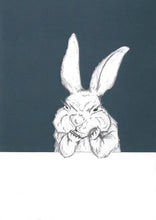 Load image into Gallery viewer, grumpy bunny
