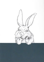 Load image into Gallery viewer, grumpy bunny
