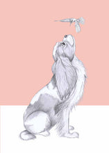 Load image into Gallery viewer, Chavelier King Charles spaniel