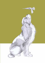 Load image into Gallery viewer, Chavelier King Charles spaniel