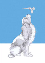 Load image into Gallery viewer, Chavelier King Charles spaniel