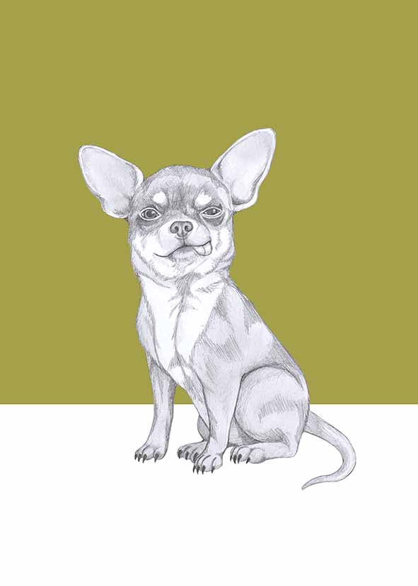 Chihuahua, illustrated animal art card by I AM NIEN Amsterdam artist
