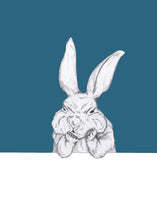 Load image into Gallery viewer, grumpy bunny