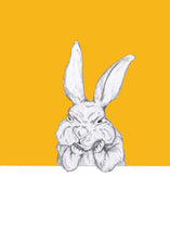 Load image into Gallery viewer, grumpy bunny