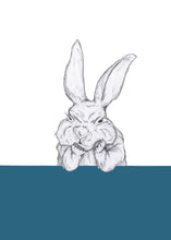 Load image into Gallery viewer, grumpy bunny