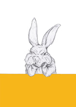 Load image into Gallery viewer, grumpy bunny