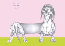 Load image into Gallery viewer, dachshund