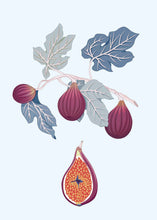 Load image into Gallery viewer, Fig