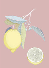 Load image into Gallery viewer, Lemon