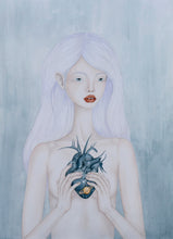 Load image into Gallery viewer, Nova