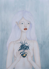 Load image into Gallery viewer, Nova