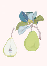Load image into Gallery viewer, Pear