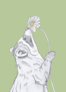 raccoon with flower