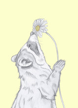 Load image into Gallery viewer, raccoon with flower