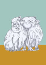 Load image into Gallery viewer, capibara kisses