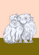 Load image into Gallery viewer, capibara kisses