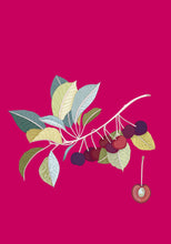 Load image into Gallery viewer, cherry