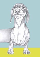 Load image into Gallery viewer, dachshund