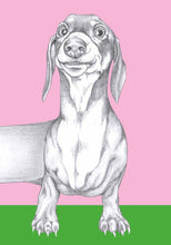 Load image into Gallery viewer, dachshund
