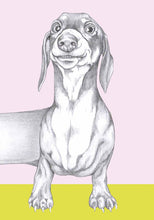 Load image into Gallery viewer, dachshund