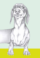 Load image into Gallery viewer, dachshund
