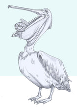 Load image into Gallery viewer, pelican and fish