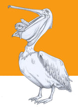 Load image into Gallery viewer, pelican and fish