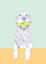 Load image into Gallery viewer, golden retriever