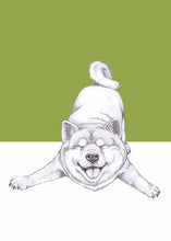 Load image into Gallery viewer, akira