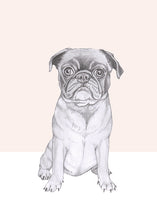 Load image into Gallery viewer, pug
