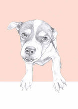 Load image into Gallery viewer, dog