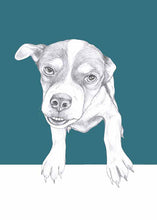 Load image into Gallery viewer, dog