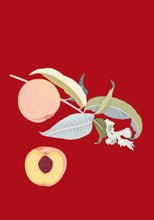 Load image into Gallery viewer, peach