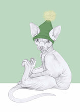 Load image into Gallery viewer, sfinx cat