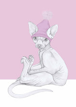 Load image into Gallery viewer, sfinx cat